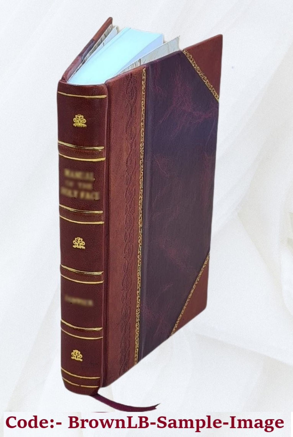 Opera omnia in quatuor tomos distributa G57111