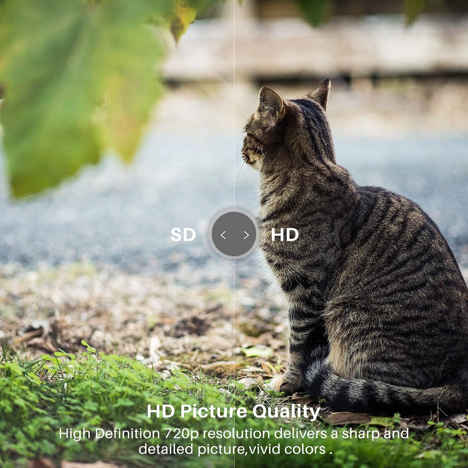 32 inch 720p HD HDR Smart LED TV S2419