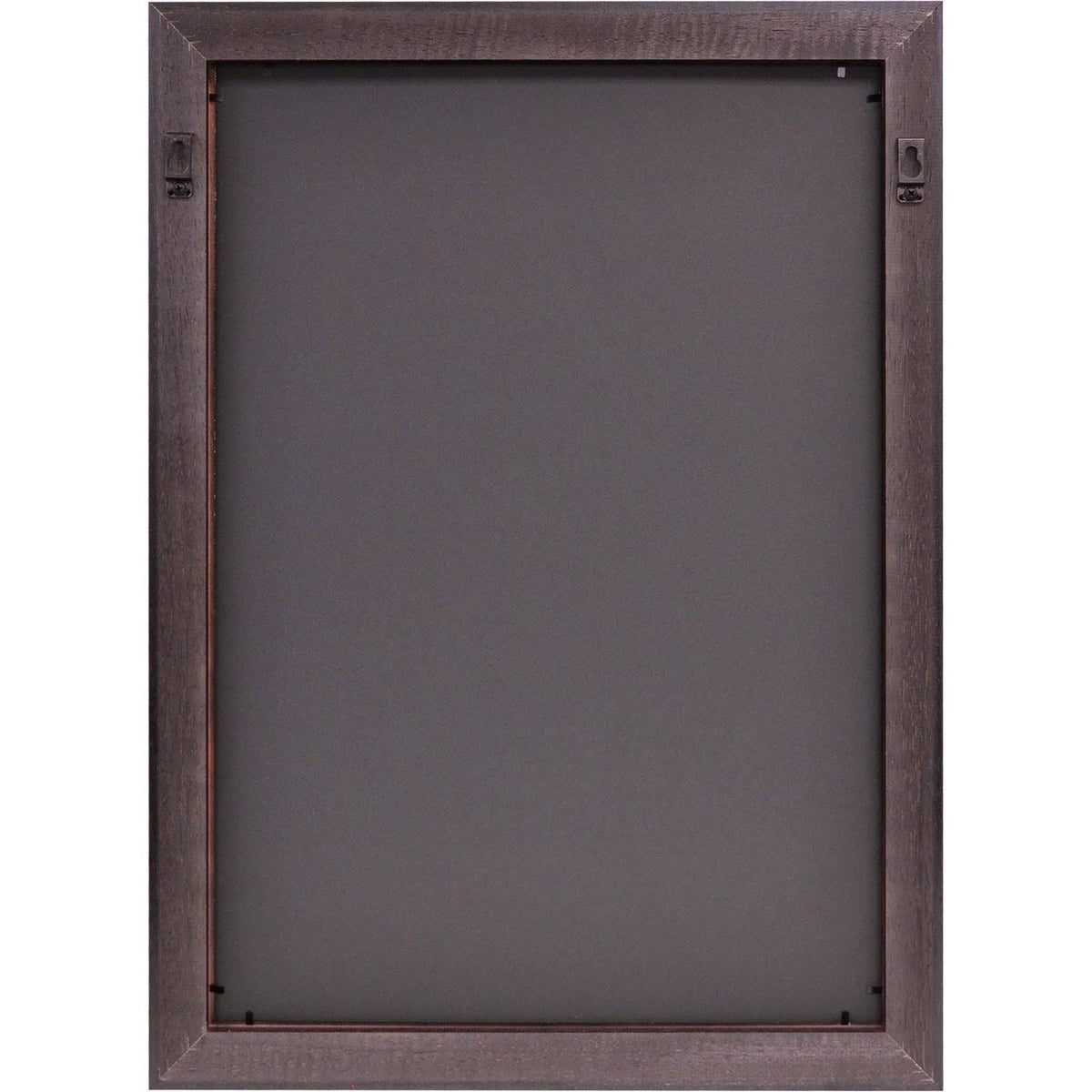 Gold Embossed Diploma Frame with Campus Images Lithograph O742