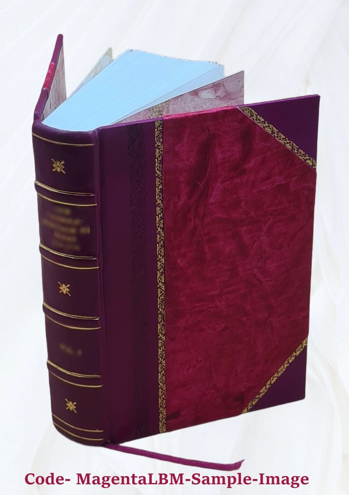Leather Bound Book O9191