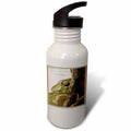 21 oz Sports Water Bottle T122846