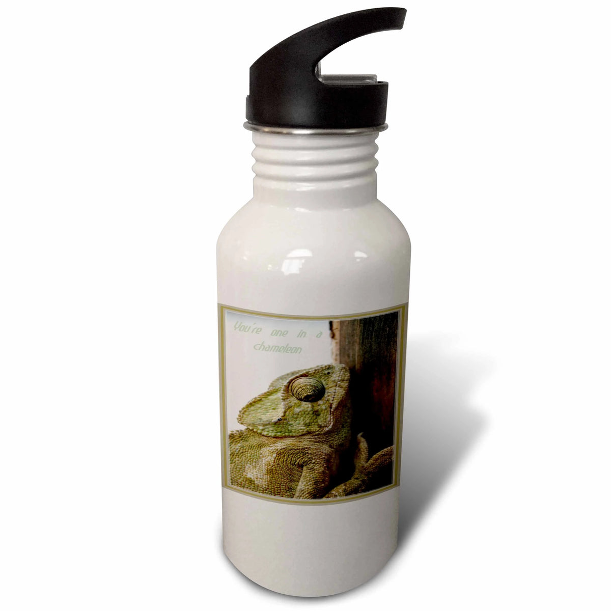 21 oz Sports Water Bottle T122846
