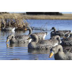 4 Pack Specklebelly Floater Decoys D781