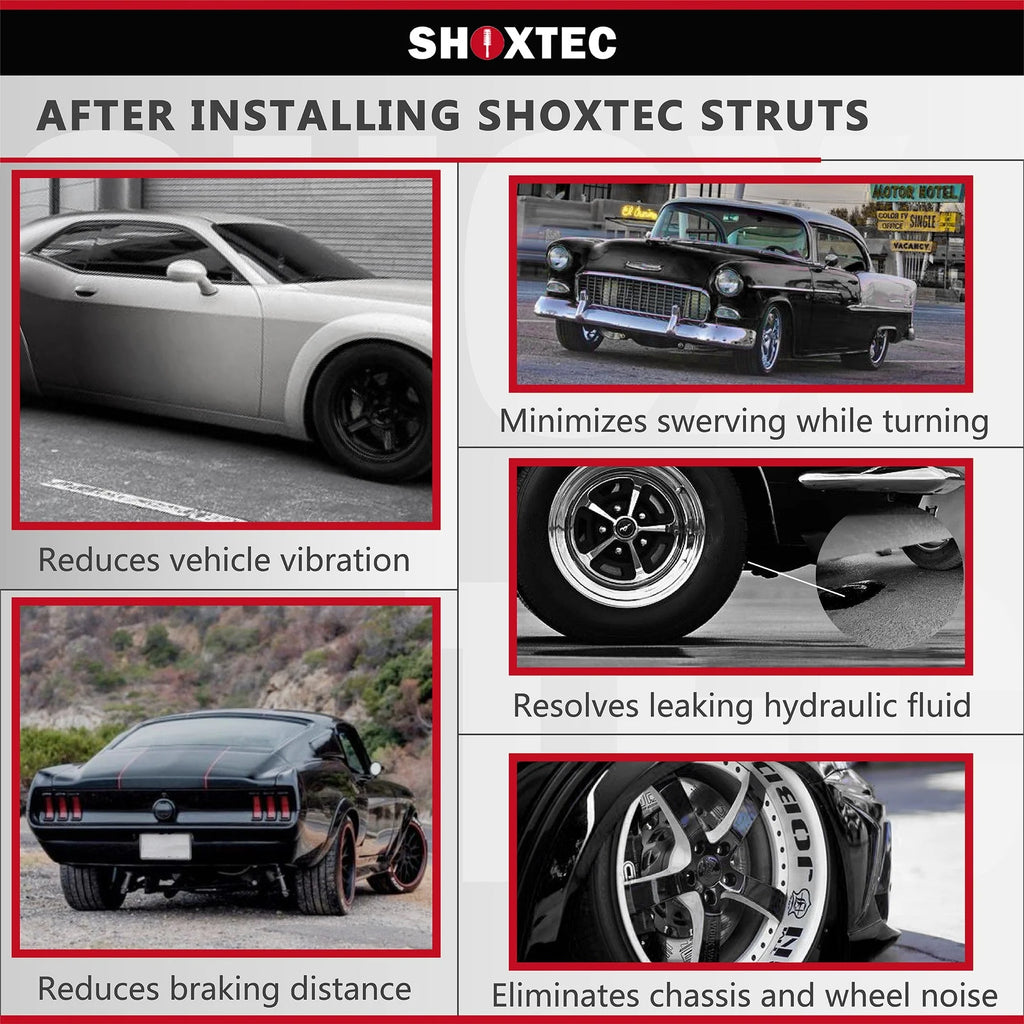 Front Complete Struts L66075