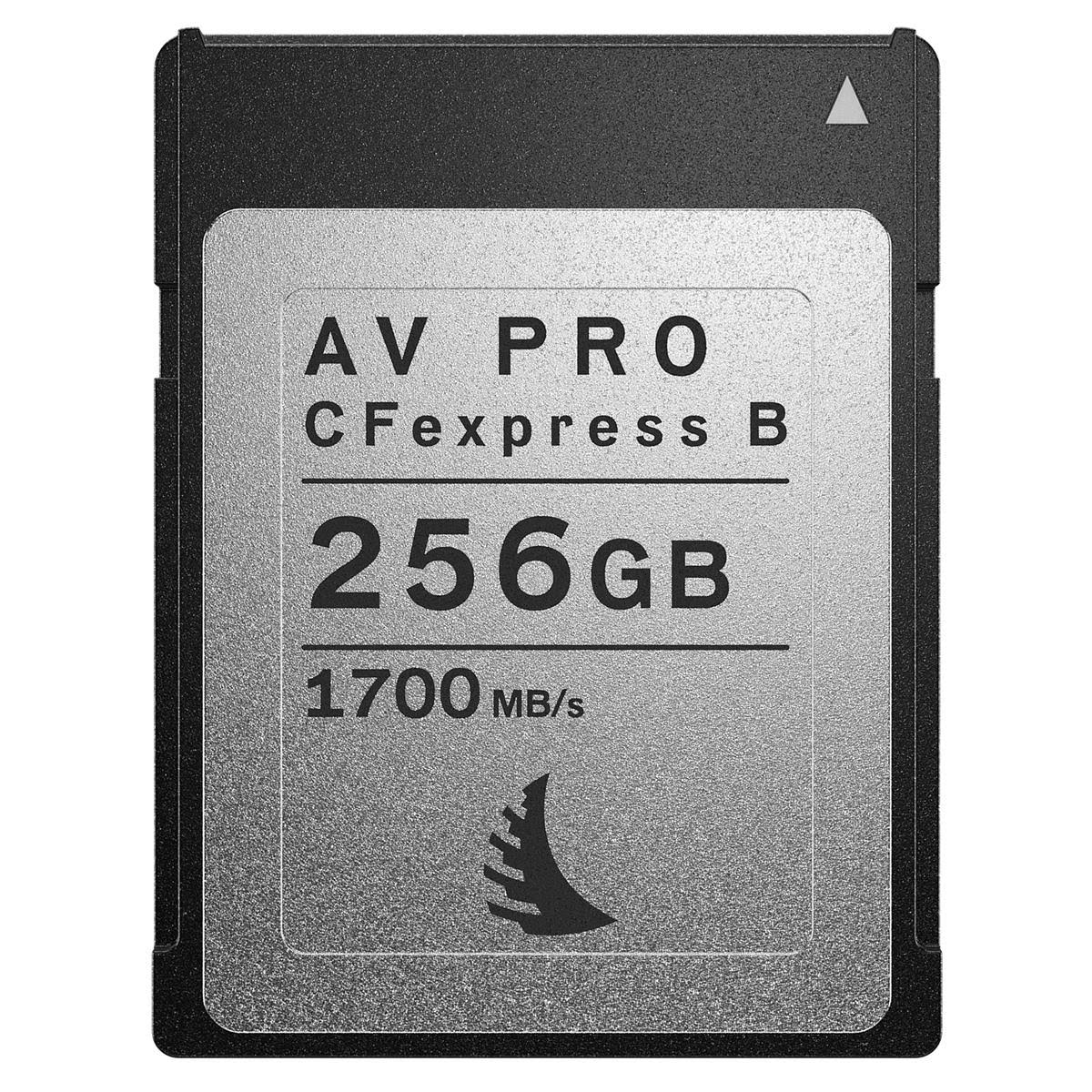 256GB CFexpress 2.0 Type B Memory Card D24370