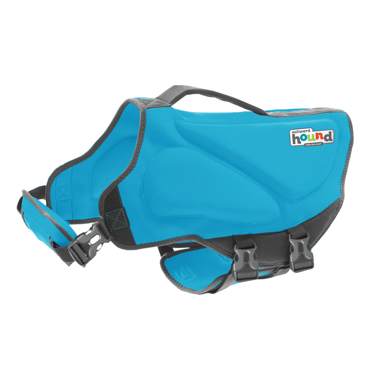 Blue XS Dog Life Jacket A841369